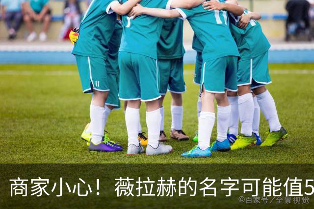 商家小心！薇拉赫的名字可能值5000万的教训