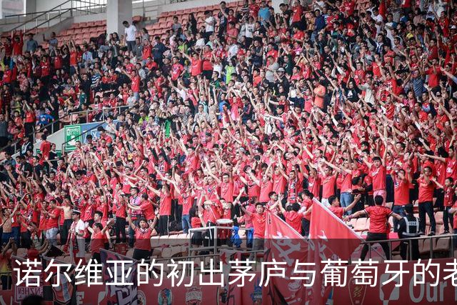 诺尔维亚的初出茅庐与葡萄牙的老江湖：是时候一较高下了！